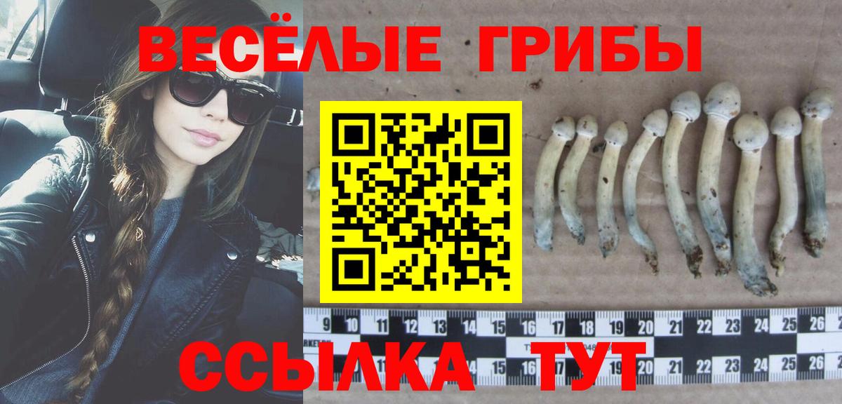 Рассказово  Псилоцибиновые грибы мухоморы  Вход с VPN 